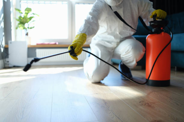 Reliable Biohazard contractor in Ideal, GA by Trauma Clean Pros